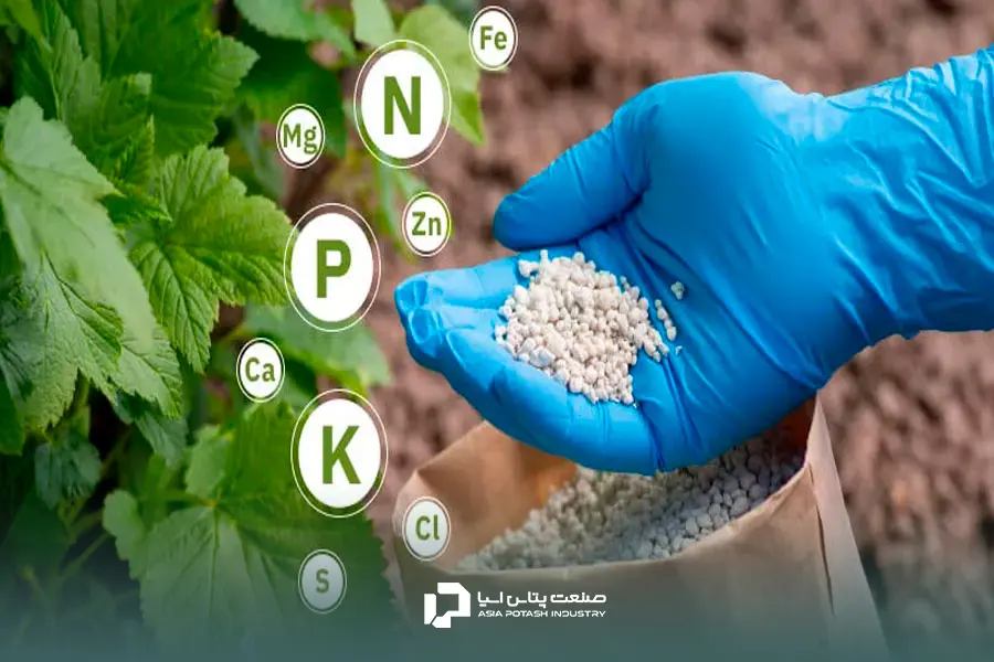 اختلاط کودهای کشاورزی و افزایش کیفیت و باردهی محصول