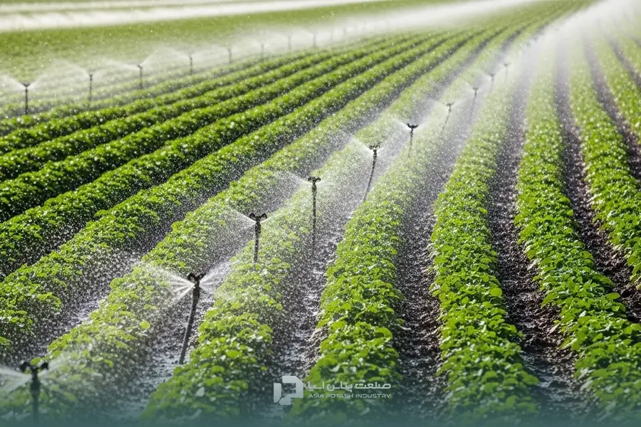 بهترین زمان تزریق کود در آبیاری بارانی معمولا در نیمه آبیاری است.