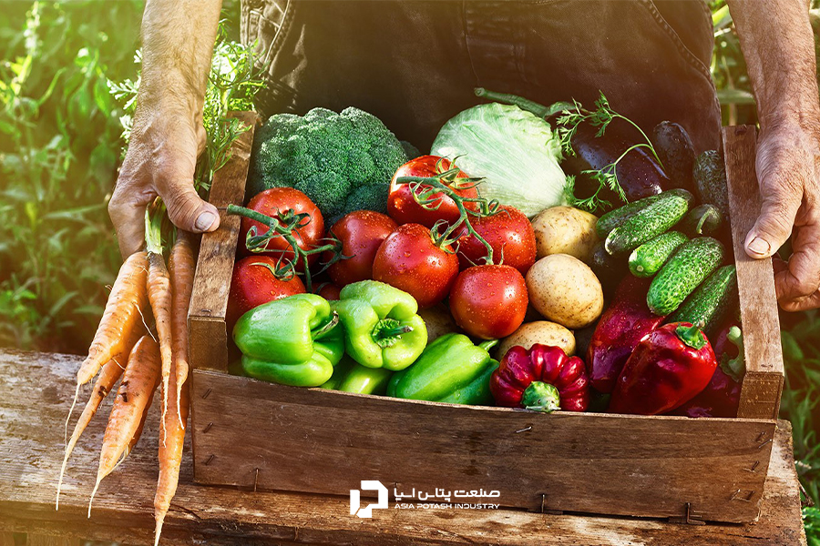 استفاده از کود سالم تولید مواد غذایی با ارزش غذایی بالاتر را نتیجه می‌دهد