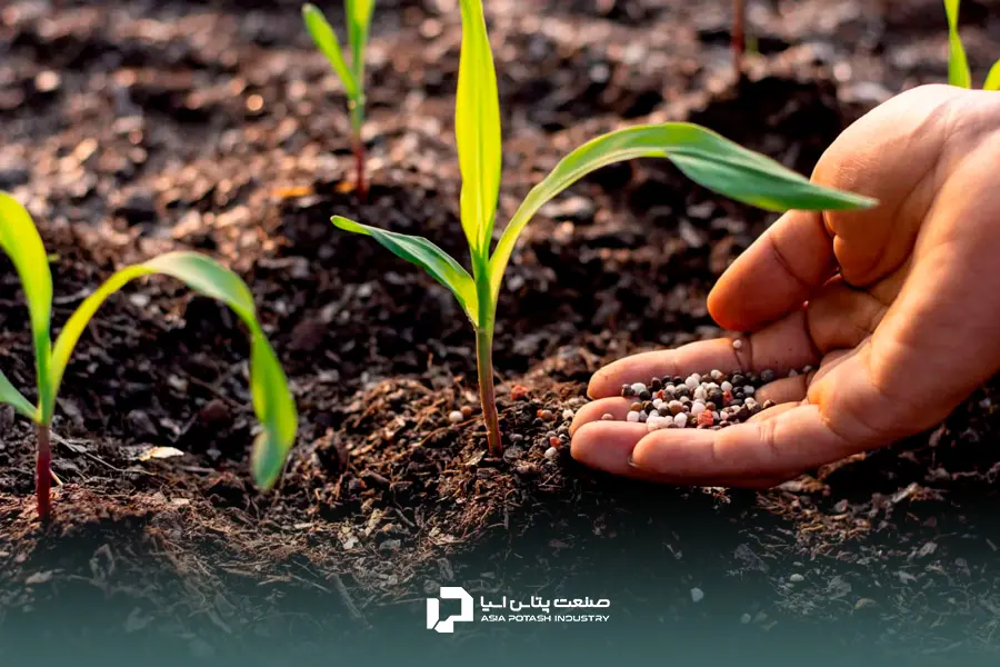 پتاسیم؛ عنصری ضروری برای گیاه