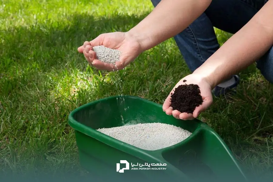 استفاده از کود سولوپتاس برای سیب زمینی