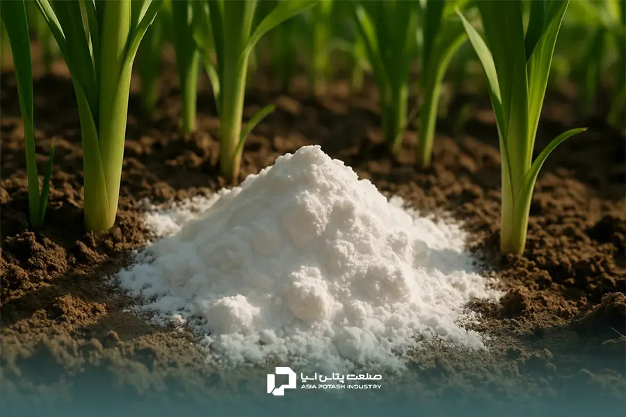 کودهای پتاس بالا در انواع مختلفی تولید می‌شوند.