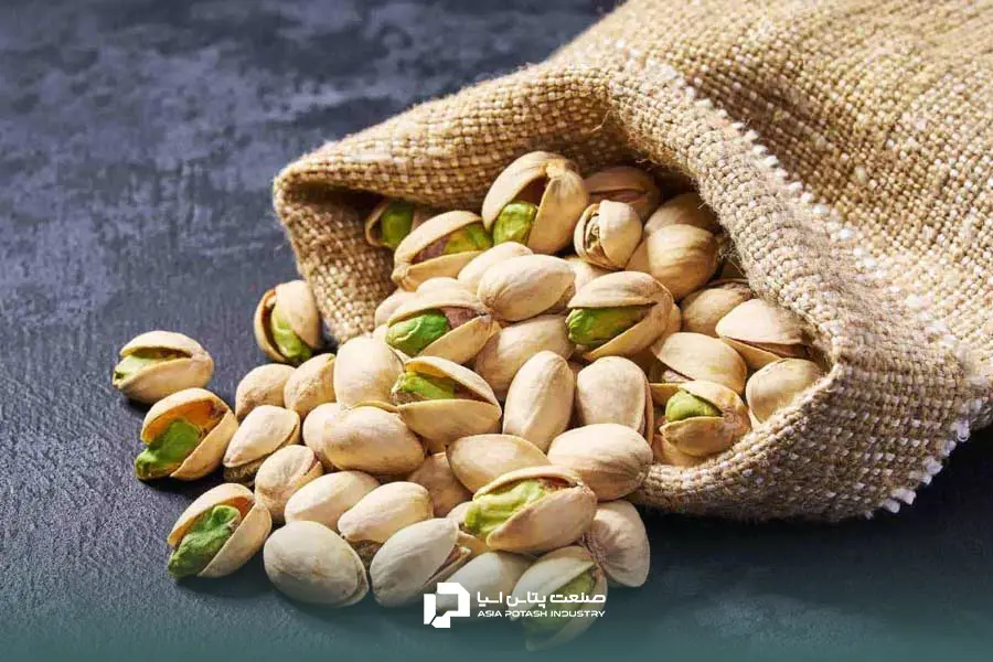 کود سولوپتاس صنعت پتاس آسیا؛ بهترین کود سولوپتاس برای پسته