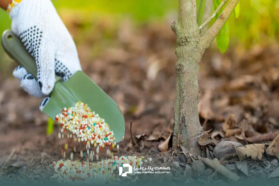 کود سولفات پتاسیم برای پسته از جمله کودهای حیاتی است