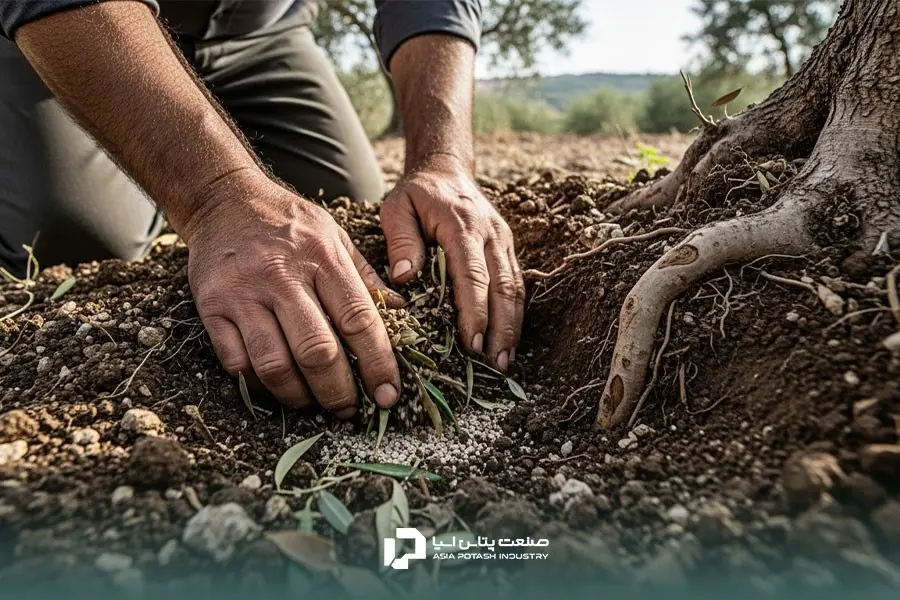 شرایط باغ عامل تعیین کننده در انتخاب نوع کود است.