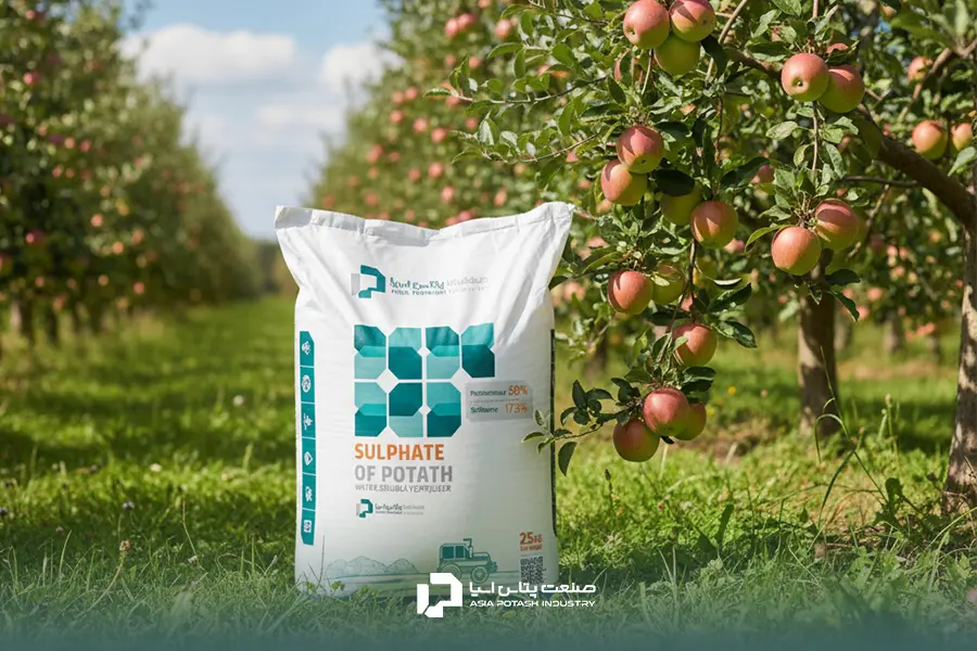 کیسه کود سولفات پتاسیم صنعت پتاس آسیا در باغ میوه پربار.
